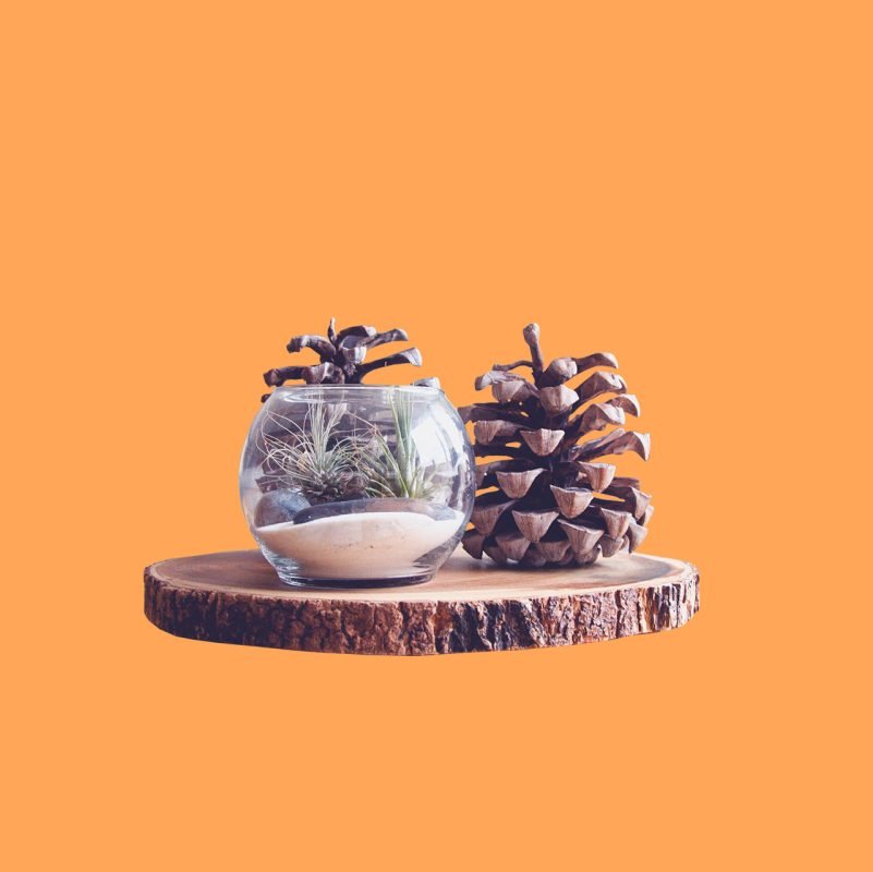 德國代購 Matina – deguo.quality