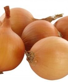 Frische Zwiebeln