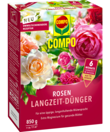 Compo Rosen Langzeit Dünger