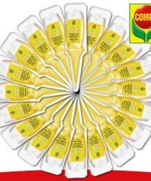 Compo Zitruspflanzen Aufbaukur
