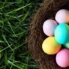 Möhlenhof Bunte Gekochte Eier mit Salz aus Bodenhaltung Klasse M