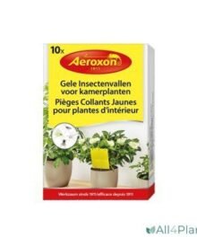 Aeroxon Gelbe Insekten-Leimtafel