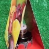 Aeroxon Frucht-Fliegenfalle Set