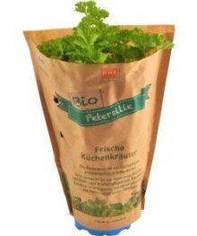 Bio Petersilientopf