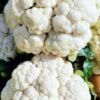 Frischer Blumenkohl