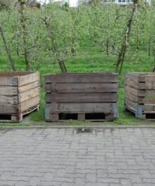 Erntebox Elstar 70-90er