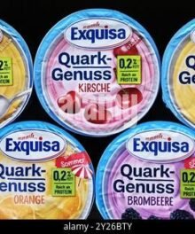 Exquisa Quark Genuss 0,2% Saison Sommer