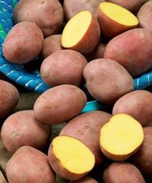 Goldmarie Gourmet-Kartoffeln Belana