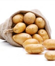 Goldmarie Speisekartoffeln, festkochend Sorte: siehe Etikett