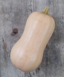 Butternut-Kürbis