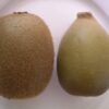 Kiwi Gold