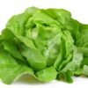 Kopfsalat