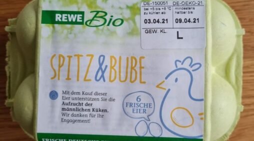 Möhlenhof Bio-Eier, Klasse L