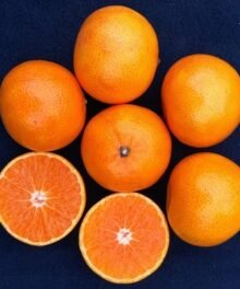 Mandarinen "Clemenvilla"