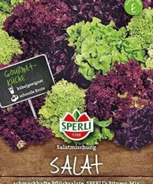 Mix Salat (Lollo Bionda/ Rosso)