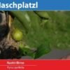 Nashi-Birnen L+4