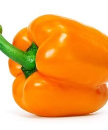 Paprika, Sorte Orange