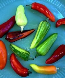 Paprika Streifen (rot, grün, gelb gem.)