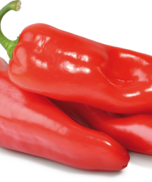 Paprika spitz rot
