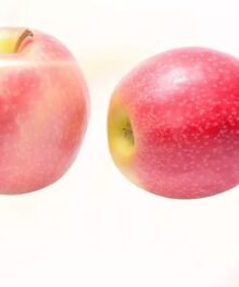 Pink Lady Sort: Cripps Pink 75/80 er