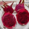 Pitahaya Rot/Weiß L+4
