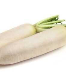 Weiße Rettiche