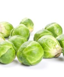 Rosenkohl Kaliber "B"