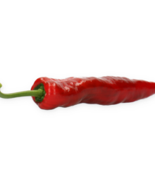 Roter Spitzpaprika Palermo