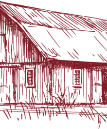 Süsskartoffeln "Hofwerte"