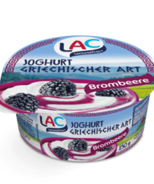 SWM LAC Joghurt Griechischer Art mit Brombeeren und Honig 9%