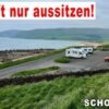 Sild in Öl aus Schottland
