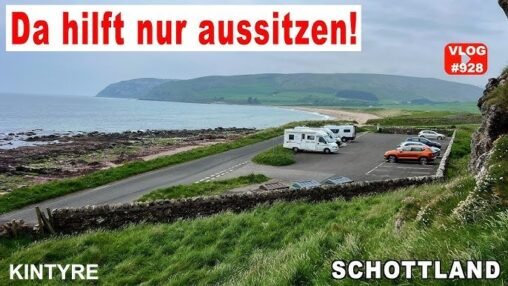 Sild in Öl aus Schottland