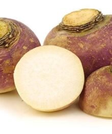 Steckrüben, frisch
