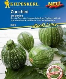 Grün Zucchini